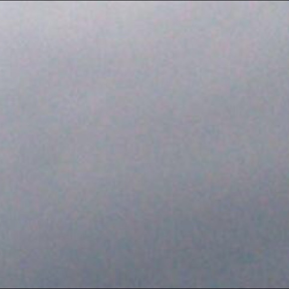 Meet your Posher, Lacey - Picture 1 of 1